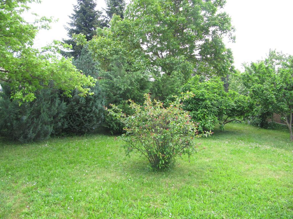 Budai Garden House Hévíz Δωμάτιο φωτογραφία